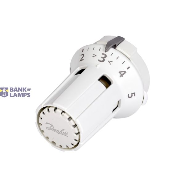 RAW/RTD Sensors, Liquid, Sensor type: Built-in sensor, 8 °C - 28 °C, RTD image 1
