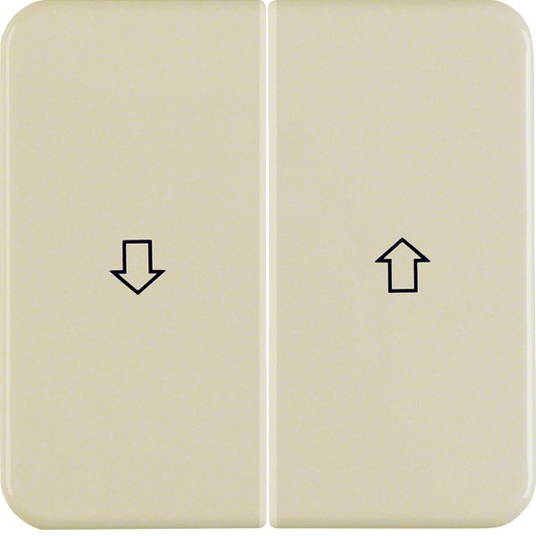 Rocker 2gang imprinted arrow symbol, splash-proteced flush-mtd IP44, w image 1