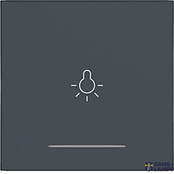 Rocker single with light symbol imprint, clear lens, A.x/C.x, anthracite image 1