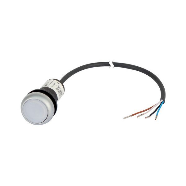 C22-DL-W-K10-24-P62 Illuminated pushbutton actuator, Flat, momentary, 1 N/O, Cable (black) with non-terminated end, 4 pole, 1 m, LED white, White, Blank, 24 V AC/DC, Beze image 3