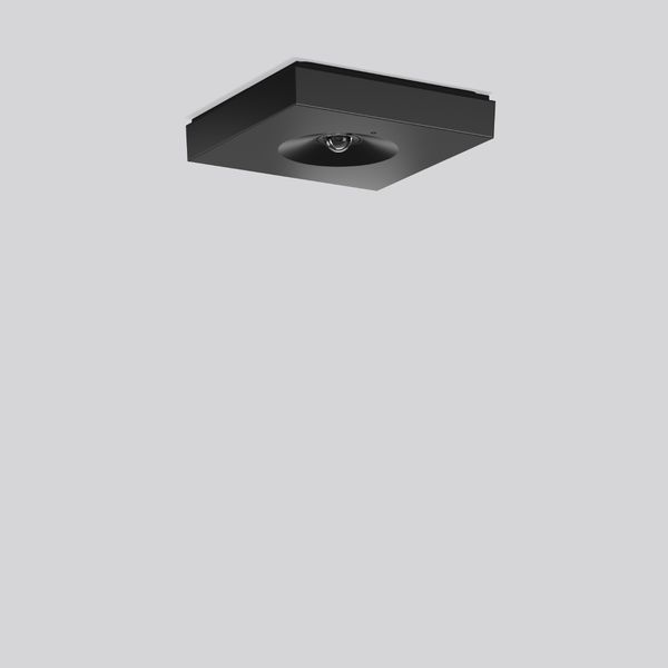 CENTRYXX IP40, 740, black, on/off Ceiling luminaires, L 150 B 150 H 30 image 2