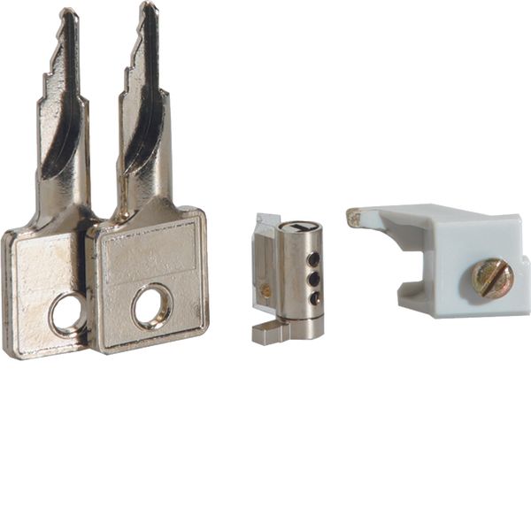 Key lock, vector,2 keys image 1