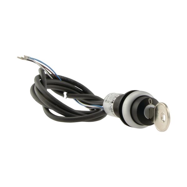 C22-WS-MS1-K11-P62 Key-operated actuator, RMQ compact solution, momentary, 1 NC, 1 N/O, Cable (black) with non-terminated end, 4 pole, 1 m, 2 positions, MS1, Bezel: tita image 11