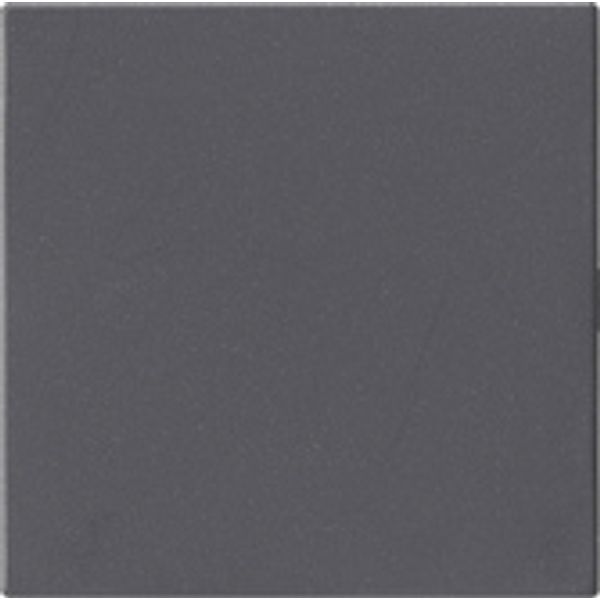 Blindabdeckung 810828 o.Tragrauing Sys 55 Anthr image 1