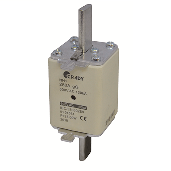 FUSE DYFUS AC-00 80A GG-2I image 1