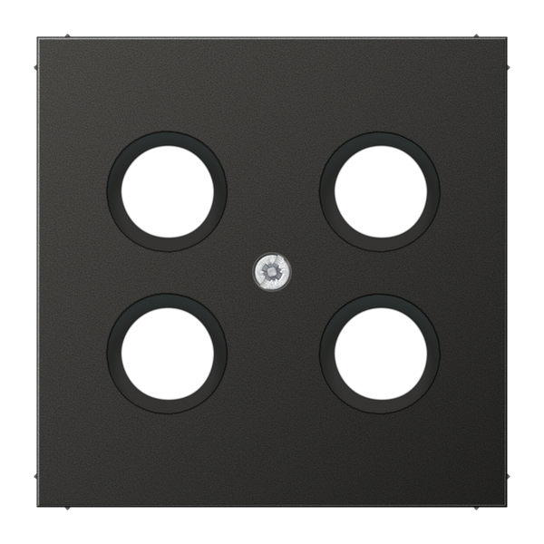 Centre plate AL2990-4SAT1AN image 3