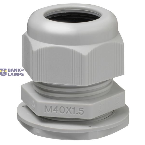 Thorsman Glands - cable gland - grey - M40 - diameter 19 to 28 image 1