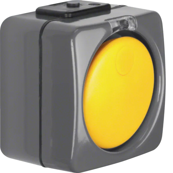 Switch, rocker, with transparent lens, ISO-Panzer IP44, dark. grey/yellow image 1
