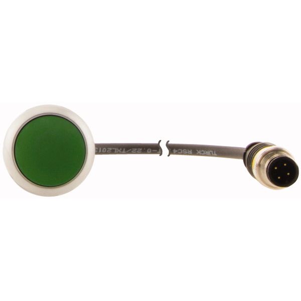 C22-D-G-K10-P3 Pushbutton, Flat, momentary, 1 N/O, Cable (black) with M12A plug, 4 pole, 0.5 m, green, Blank, Bezel: titanium image 2