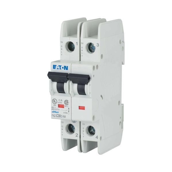 Miniature circuit breaker (MCB), 30 A, 2p, characteristic: C image 9