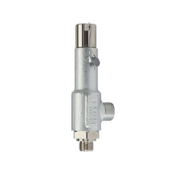 SFA 10 T 314 Safety valve image 1