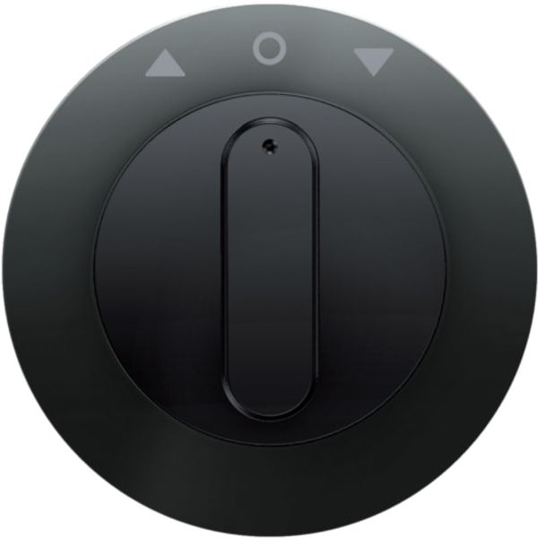 Centre plate rot. knob for rot. switch for blinds, R.1/R.3, black glossy image 1