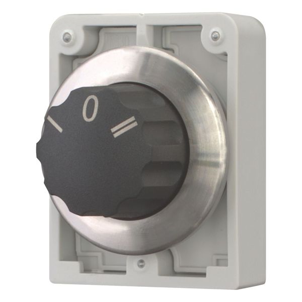 M30I-FW3 Changeover switch, RMQ-Titan, with rotary head, momentary, 3 positions, inscribed, Front ring stainless steel image 6