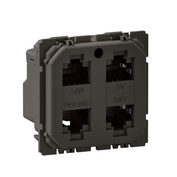 RJ45 MULTIMEDIA X4 STP CELIANE image 3