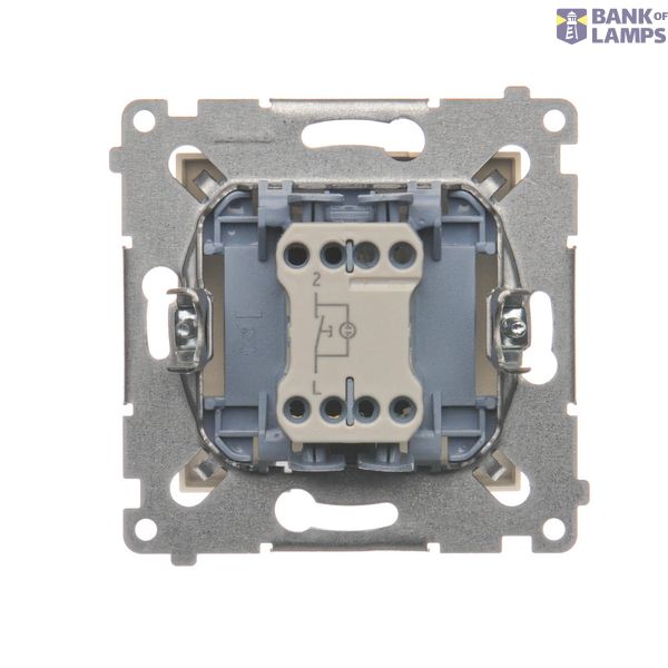 Single switch with a key - 2 positions "0-1", Silver matt, metalic, 5A image 1
