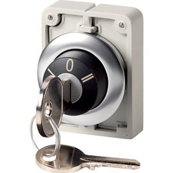 M30I-FWRS3-RS Key-operated actuator, Flat Front, maintained, 3 positions, Ronis 455, Key withdrawable: I, 0, II, Bezel: stainless steel image 2