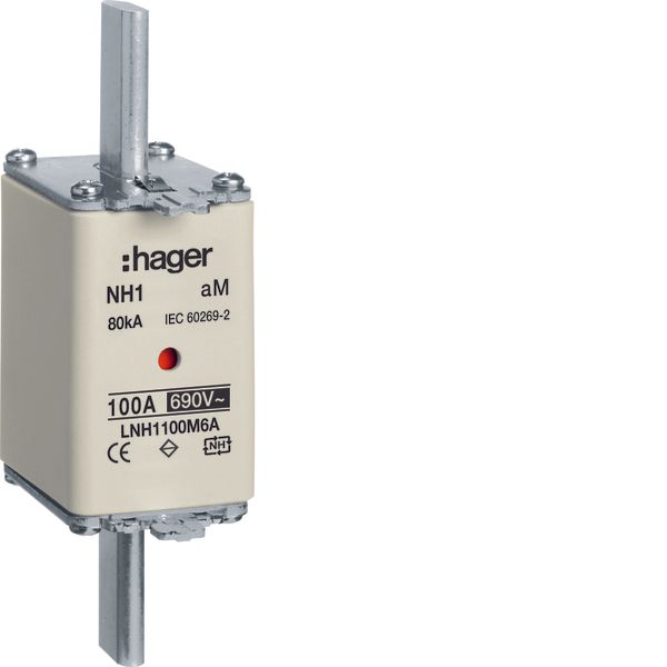 NH fuse NH1 690V aM 100A twin indicator live gripping-lug image 1