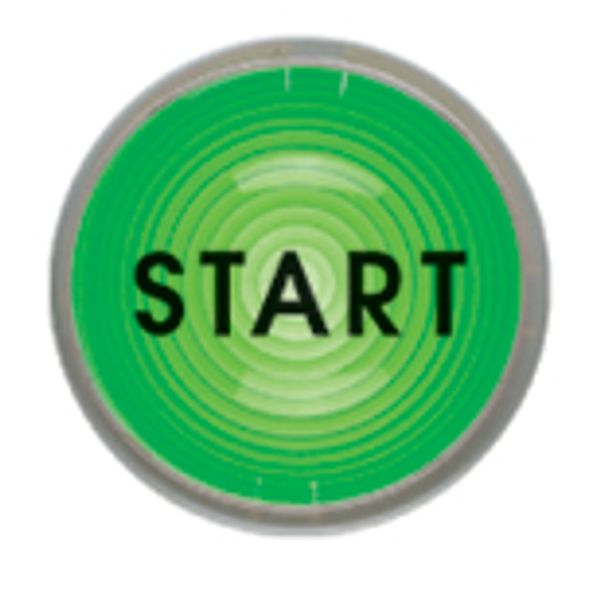 Adhesive sticker "START" image 1