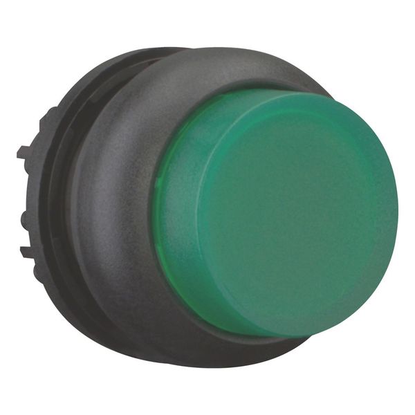 M22S-DLH-G Illuminated pushbutton actuator, RMQ-Titan, Extended, momentary, green, Blank, Bezel: black image 7