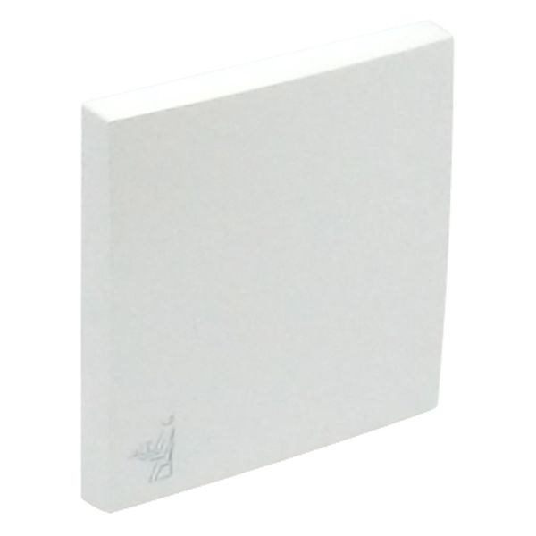 ROCKER F/SWITCHES W/MAID SYMBOL ICE image 2