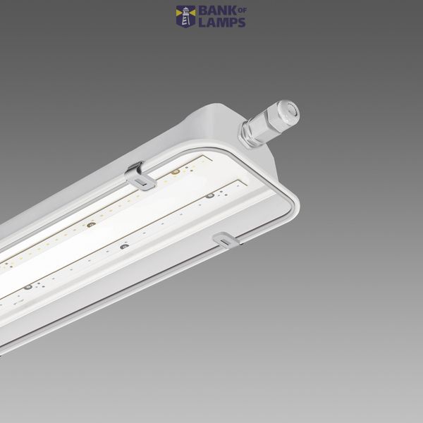 FORMA 983 LED UVA CLD RAL9006 image 1