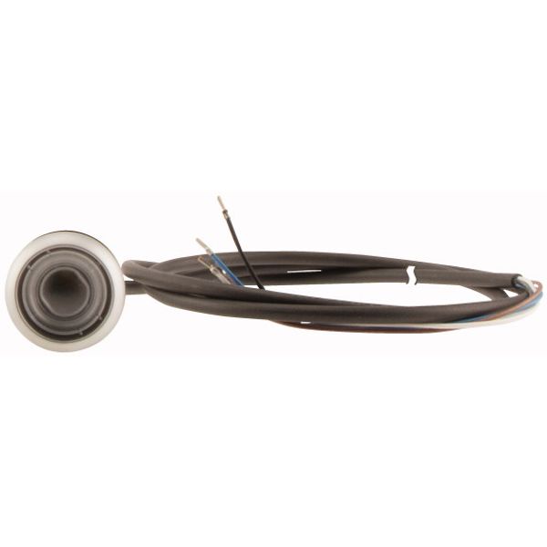 C22-DR-X-K01-P62 Pushbutton, classic, flat, maintained, 1 N/C, cable (black) with non-terminated end, 4 pole, 1 m image 2