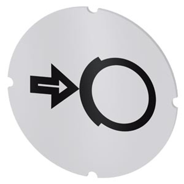Inscription plate for illuminated pushbutton, round, milky, icon: Braking image 1