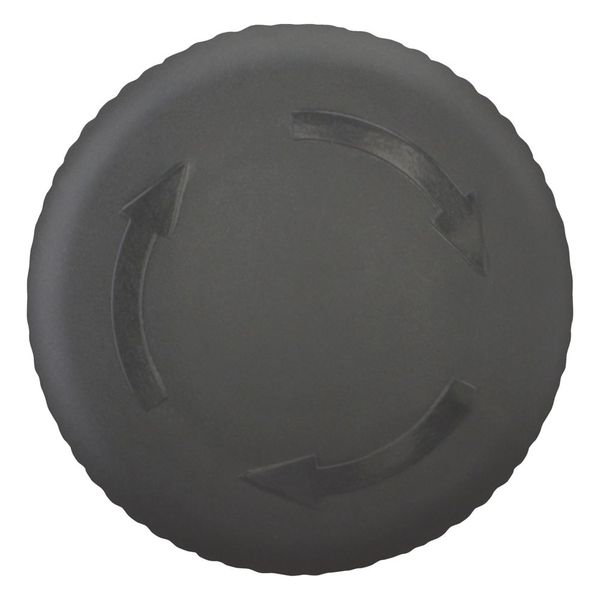 M22S-PVT HALT/STOP-Button, RMQ-Titan, Mushroom-shaped, 38 mm, Non-illuminated, Turn-to-release function, Black, yellow, RAL 9005 image 9