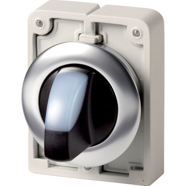 M30I-FWRLK-W Illuminated selector switch actuator, RMQ-Titan, with thumb-grip, maintained, 2 positions, White, Front ring stainless steel image 4