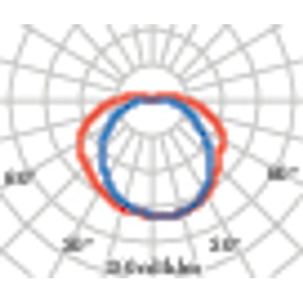 CHIP OVAL 30 BLACK E27 image 5