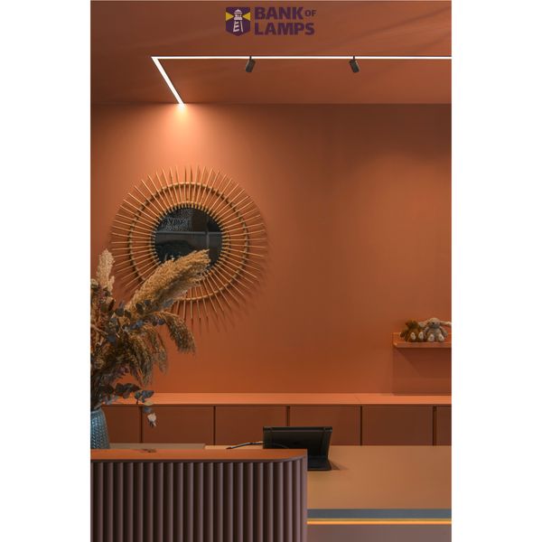 IN-LINE 22 48V TRACK, opal, DALI, spot, black / black, 7.3W, 540lm, 2700K, CRI90, 95° image 2