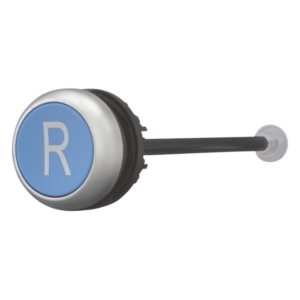 M22-DZ-B-X6 Release pushbutton, blue, R image 6