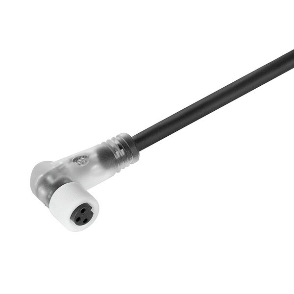 Sensor/actuator line, One end without connector, M8, Number of poles : 3, 3 m, Socket, angled, Shielded: No, LED: Yes, Sheath material: PUR, Halogen: No image 2
