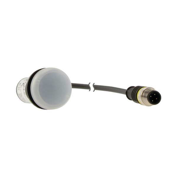 C22-L-W-24-P1 Indicator light, Flat, Cable (black) with M12A plug, 4 pole, 0.2 m, Lens white, LED white, 24 V AC/DC image 16