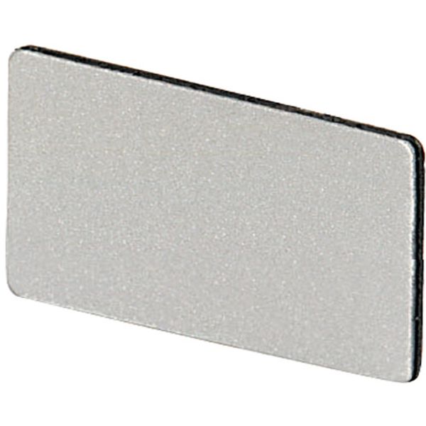 Silver legend plate 18x27, black engraving image 1