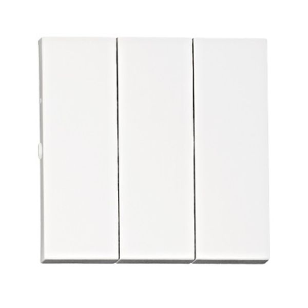 Rocker S 55 for switch 3-gang, white image 1
