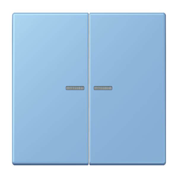 JUNG HOME push-button 2-gang BTLC17102256 image 1