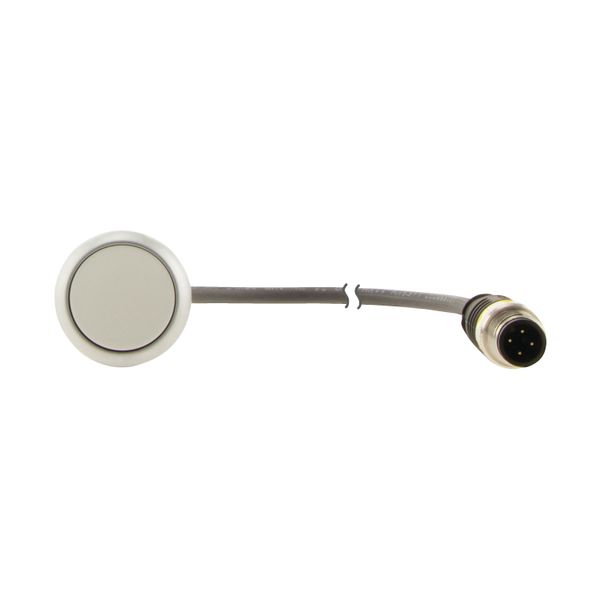 C22-D-W-K10-P3 Pushbutton, Flat, momentary, 1 N/O, Cable (black) with M12A plug, 4 pole, 0.5 m, White, Blank, Bezel: titanium image 8