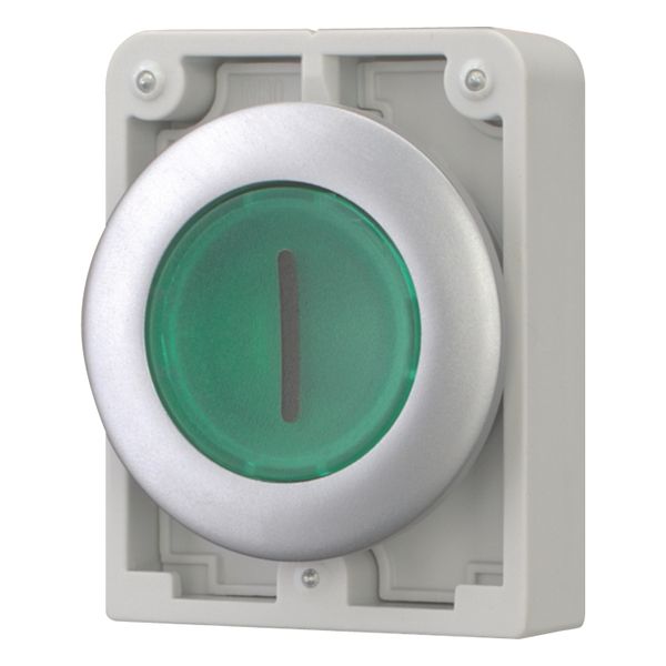 M30C-FDRL-G-X1 Illuminated pushbutton actuator, RMQ-Titan, Flat, maintained, green, inscribed, Metal bezel image 10