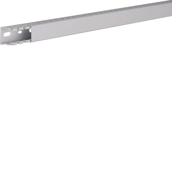 HNG 25025/0 Grey 7035 Trunking image 1