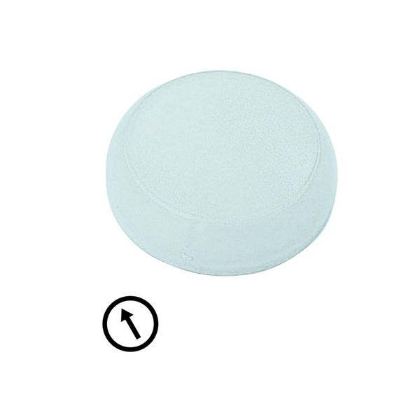 M22-XL-W-X8 Lens, indicator light white, flush, arrow symbol image 3