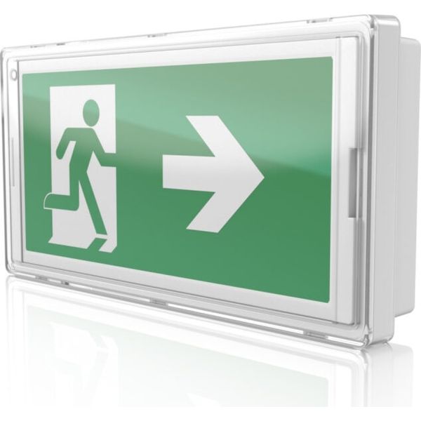 LiFeSafe PRO EXIT IP65 EX W NM/MT DA image 1