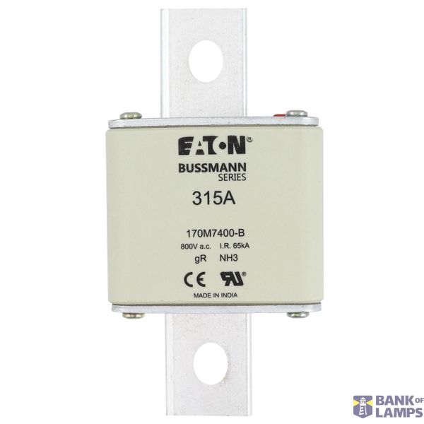 FUSE 315A 800V AC gR SIZE3 BOLTED TAG DI image 10