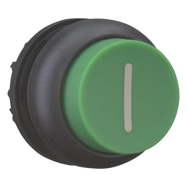 M22S-DH-G-X1 Pushbutton, RMQ-Titan, Extended, momentary, green, inscribed, Bezel: black image 11