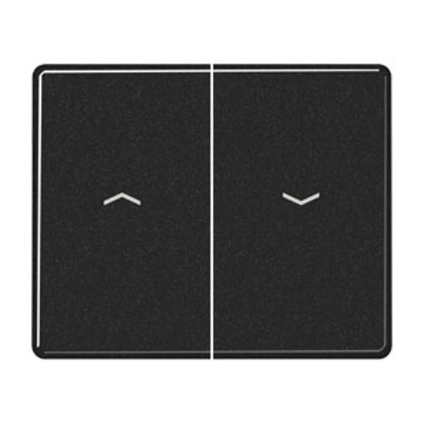 2-gang switch rocker image 1