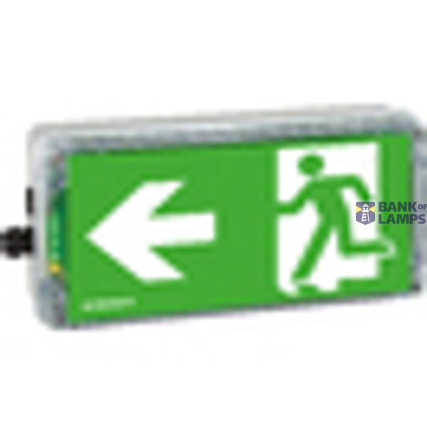 EX-protected emerg.luminaire EXIT N zone1/21 LED 3h 230V AC image 2