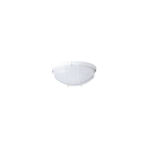 ELEKTRA 4 LED-1L12C03/IN-172P HF 3000 image 1