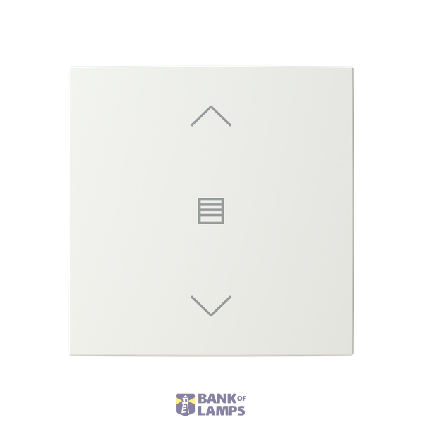 ESP RF module 441521 image 1