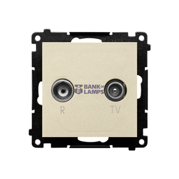 RTV final aerial socket for pass-through socket, module, champagne matt image 1