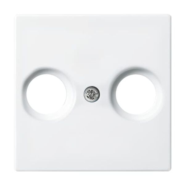 Central plate with support ring Busch-balance® SI image 3